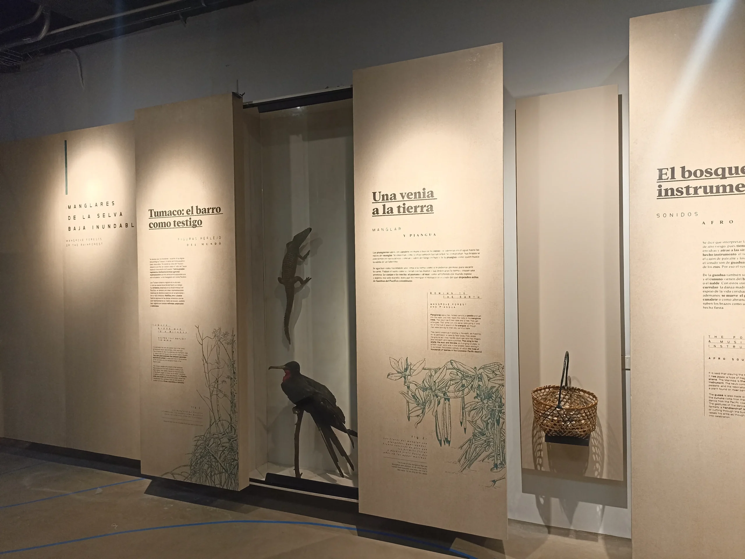 Museo MALVA