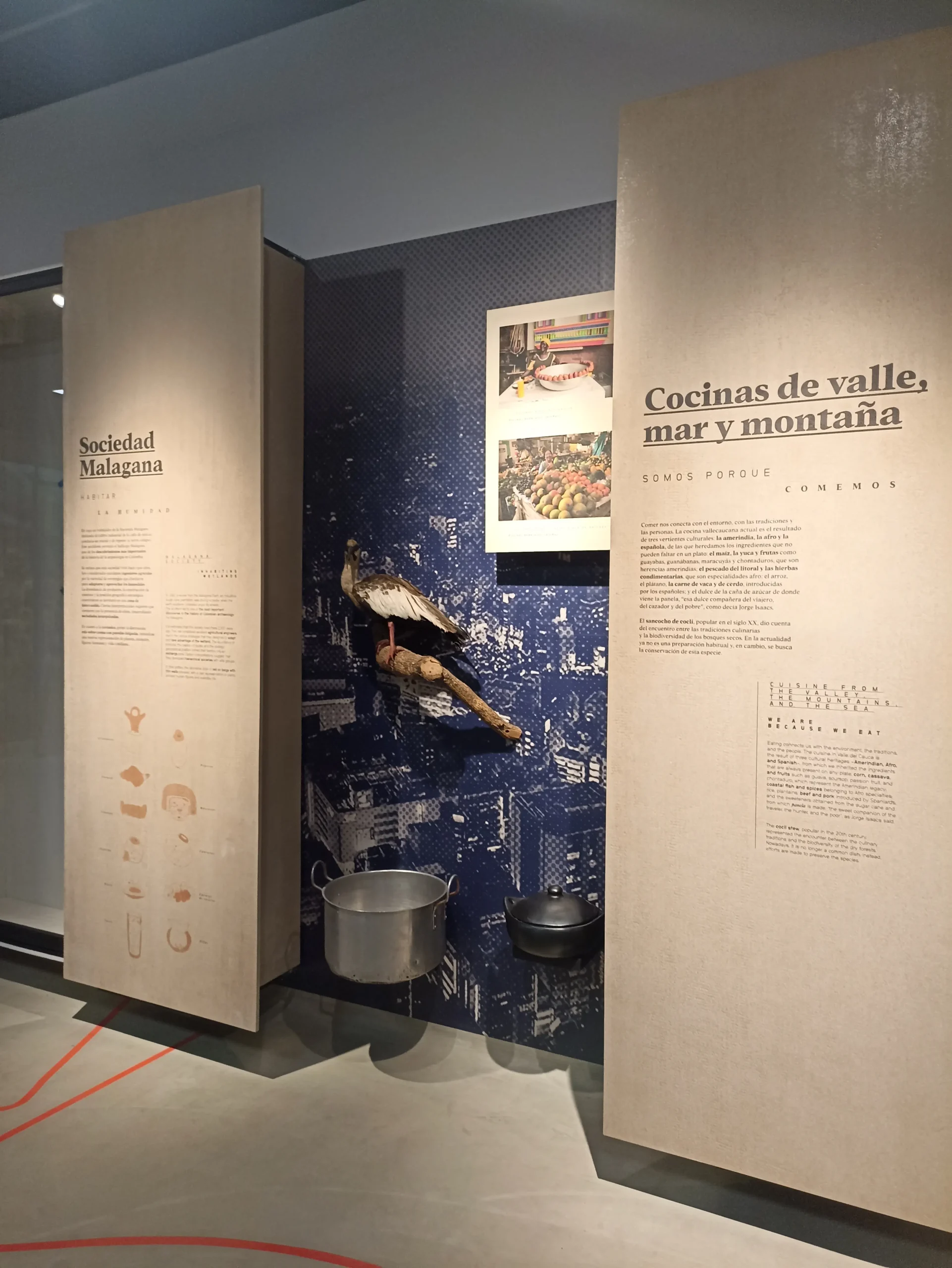 Museo MALVA